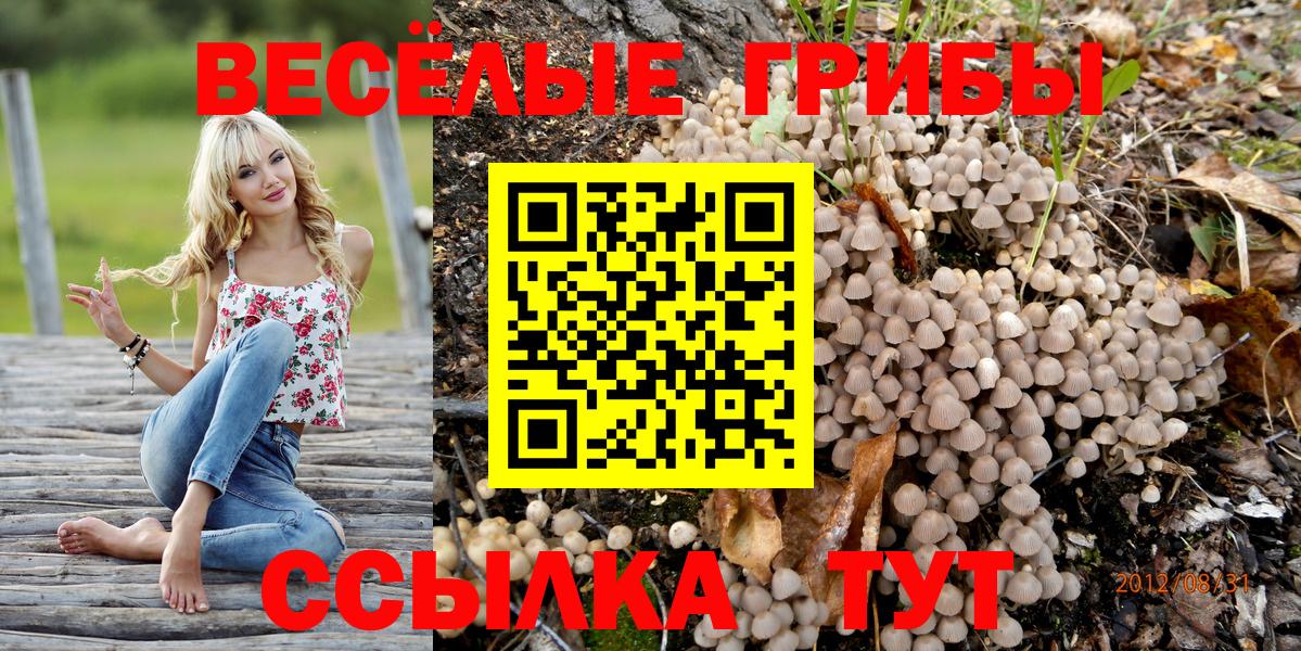 Галлюциногенные грибы мухоморы Тара